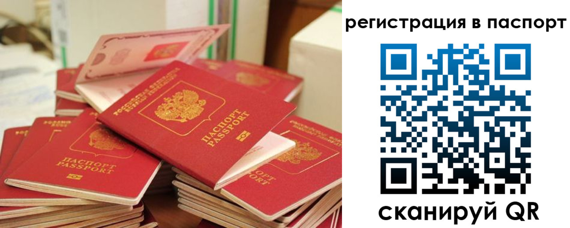 временная регистрация купить в Светлограде