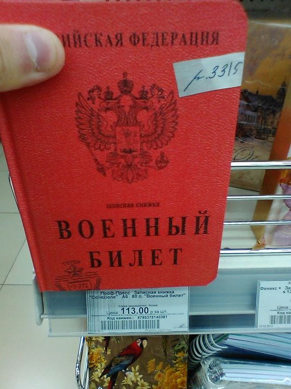 прописка в Светлограде